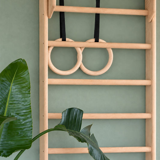 Gymnastic Rings
