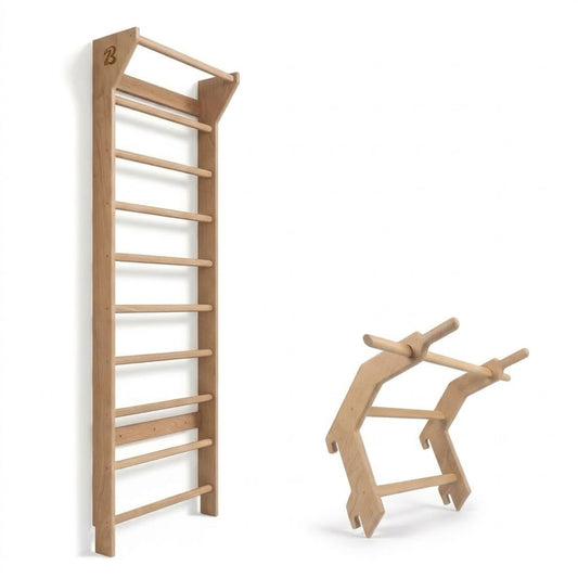 Baréa Combo: Swedish ladder (wall bar) with Pull-Up Bar Extension